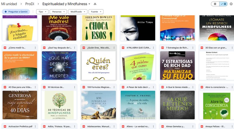 Carpeta real de Espiritualidad y Mindfulness en Drive