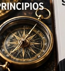 Principios